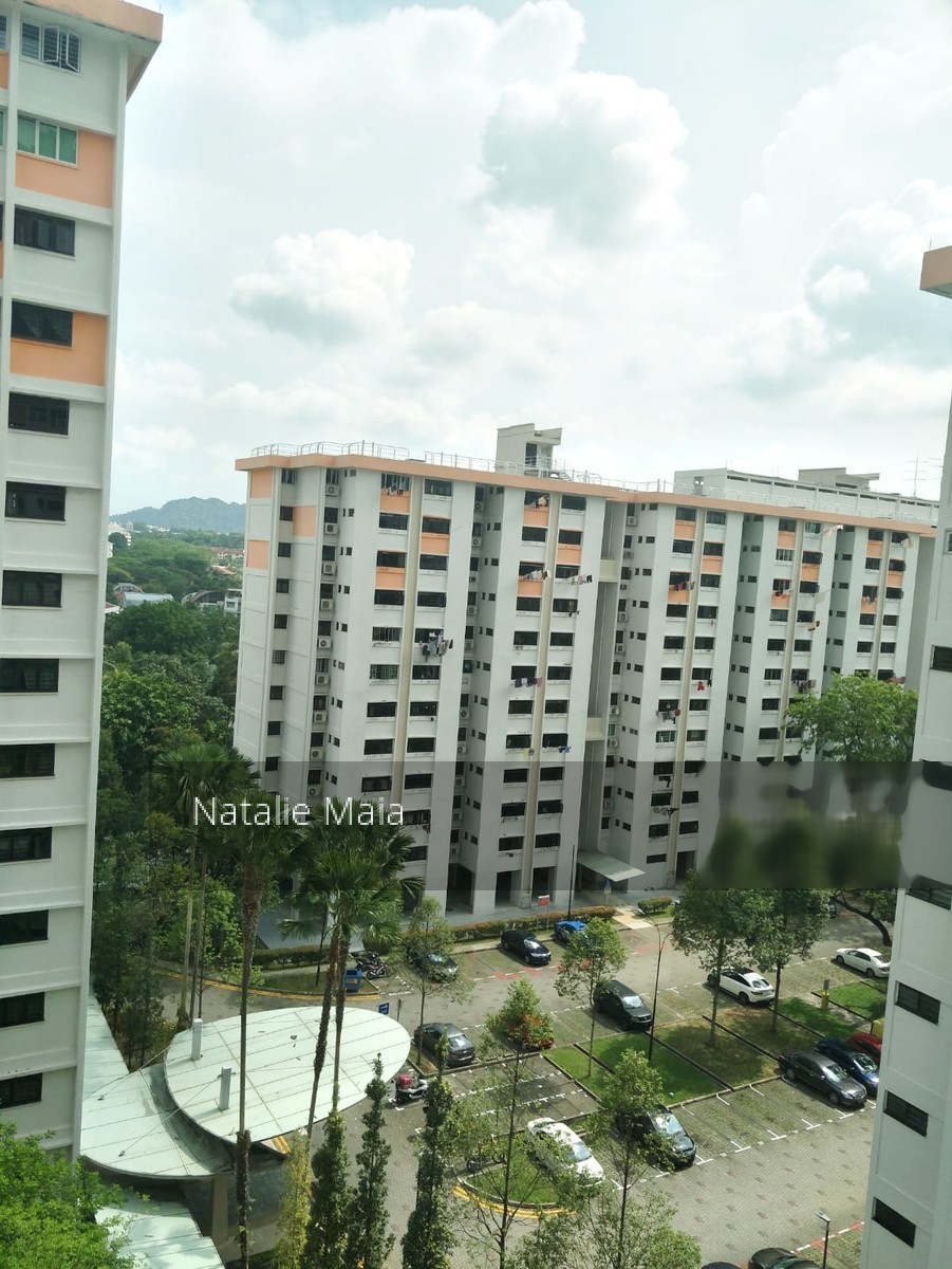 Blk 303 Clementi Avenue 4 (Clementi), HDB 4 Rooms #201675802
